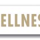 Branchen-Know-how @ schoellmann & Sie Marketing Werbung GmbH